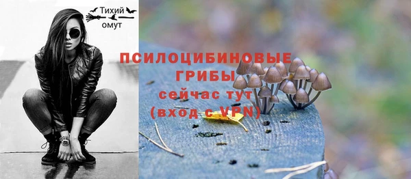 эйфоретик Краснослободск