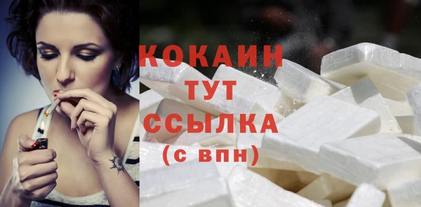 гашик Коряжма