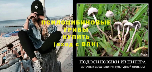 гашик Коряжма