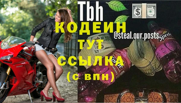 гашик Коряжма