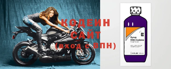 гашик Коряжма