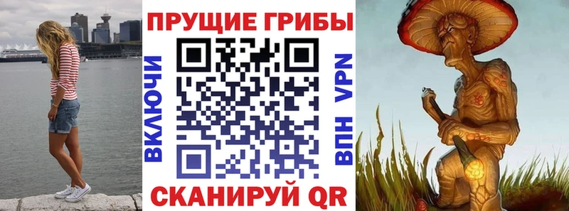 Псилоцибиновые грибы мухоморы  Красноперекопск 